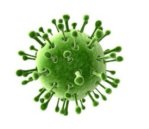 Rotavirus – возбудитель кишечного гриппа