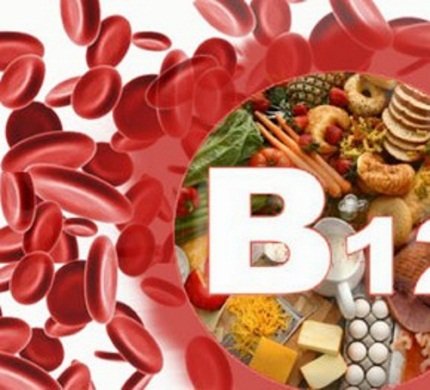 Дефицит железа, вит B12 – причина анемии Дефицит вит B12 – причина анемии