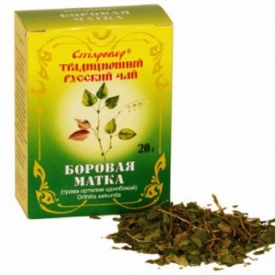 Польза Боровой матки Целебные свойства Боровой матки