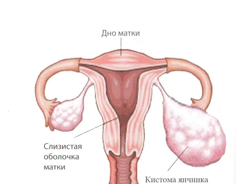 Причина отека полового органа у женщины