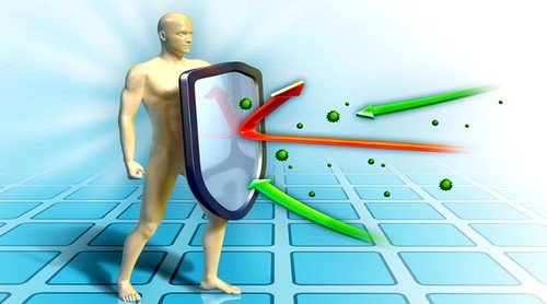 Имбирь стимулирует имунную защиту Имбирь стимулирует имунную защиту