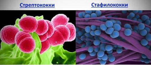 Цефтриаксон обладает антибактерицидным действием