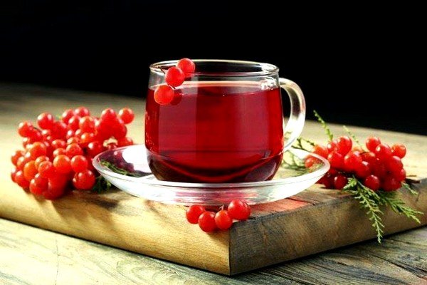 Отвар из плодов калины эффективен при кашле
