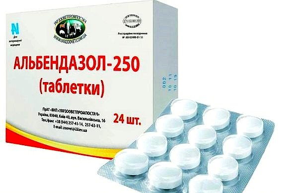 Альбендазол – антигельминтный препарат, который обеспечивает угнетение выработки клеточного табулина, в результате чего у ленточного глиста приостанавливаются процессы жизнедеятельности