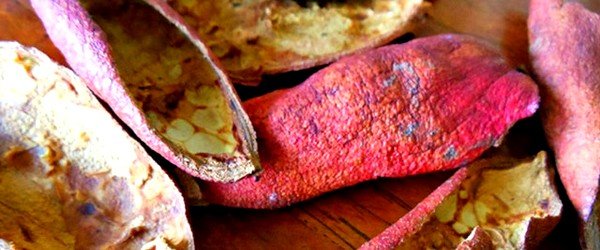Отвар корки граната эффективен при тениозе