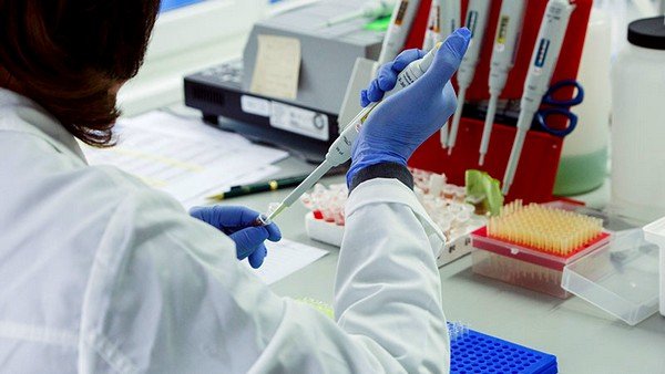Диагностика аскаридоза Для постановки диагноза аскаридоз также применяется серологический метод исследования