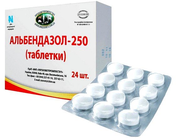 Альбендазол применяется при токсокарозе