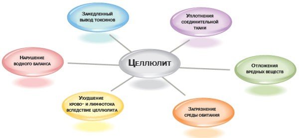 Причины целлюлита схема